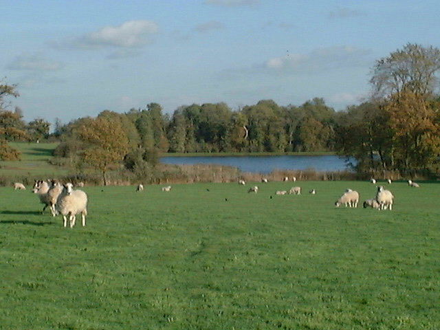 Repton's lake